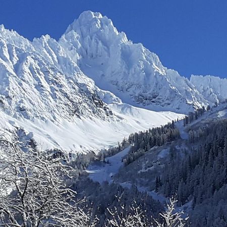 Chalets Pyrene Mont-Blanc Шамони Екстериор снимка