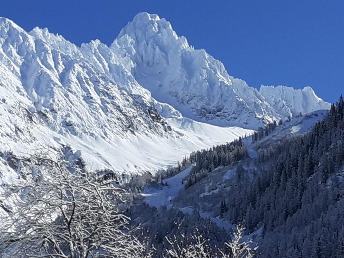 Chalets Pyrene Mont-Blanc Шамони Екстериор снимка
